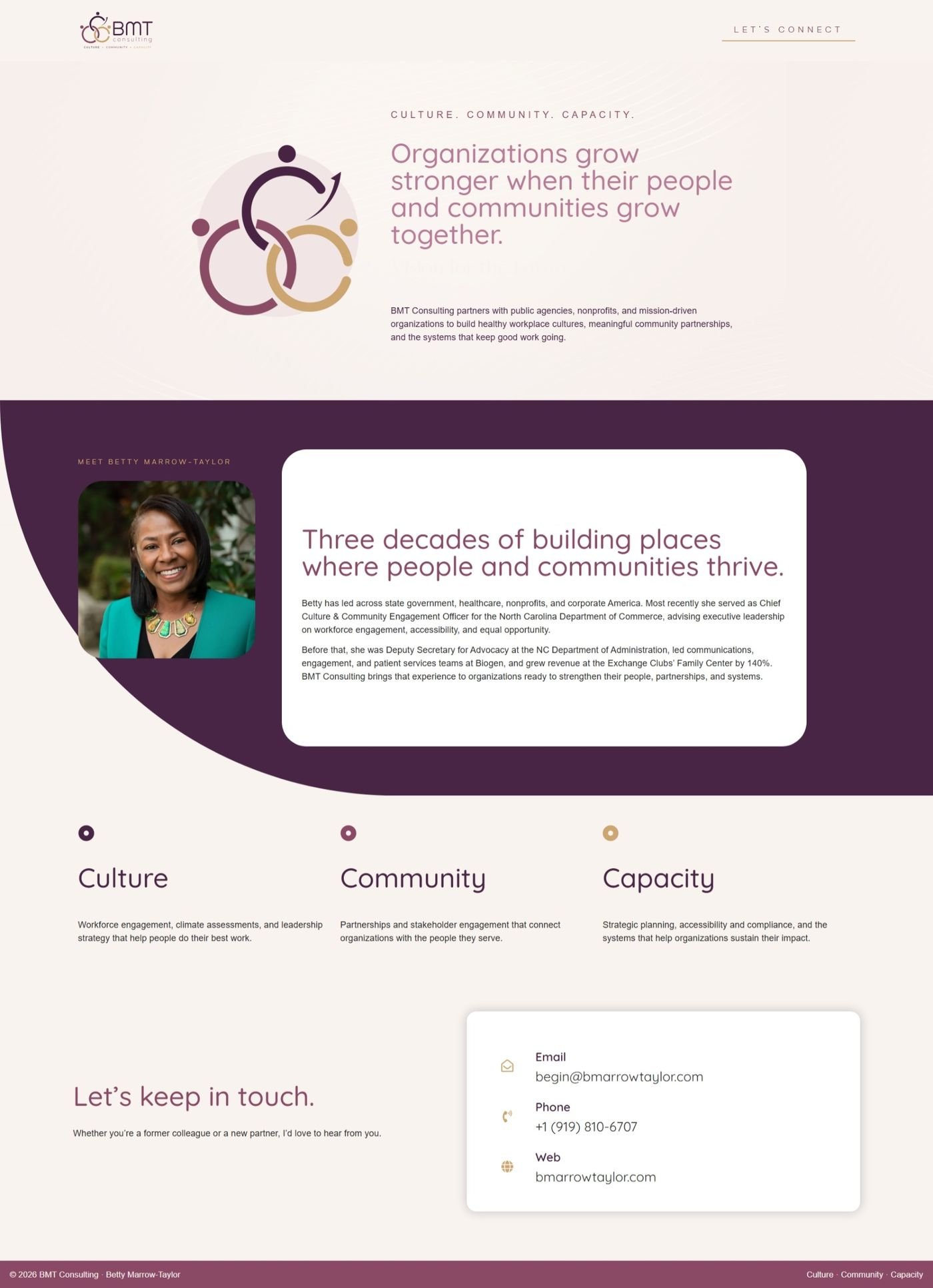 BMT Consulting website home page